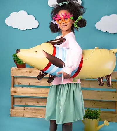 BALON FOLIOWY JAMNIK 96 x 58 cm