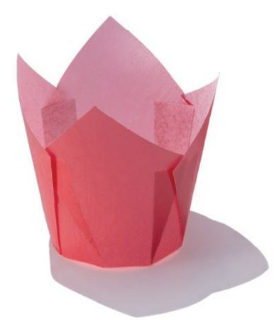 PAPILOTKI TULIPAN CZERWONY 50mm, H90mm, 24SZT