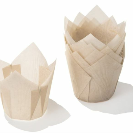 PAPILOTKI TULIPAN ECRU  50mm, H90mm, 24szt